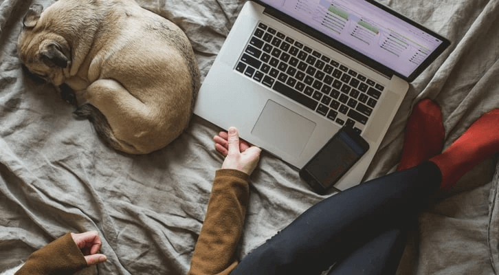 Home Business Ideas: 8 Ways to Start a Work-From-Home Business